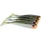 BB Fishing Baits Buki Shad 12 cm B7