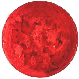 Spro Trout Master Pro Paste Knoblauch Fluoro Red