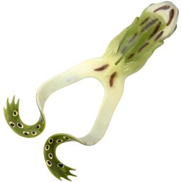 Spro Iris The Frog 10 cm Natural Green Frog