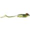 Spro Iris The Frog 10 cm Natural Green Frog