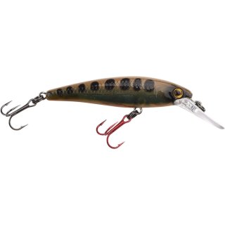 Spro Ikiru Micro Jerk 50FS Season Varion
