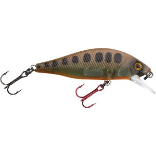 Spro Ikiru Flat Jerk 50FS Season Varion