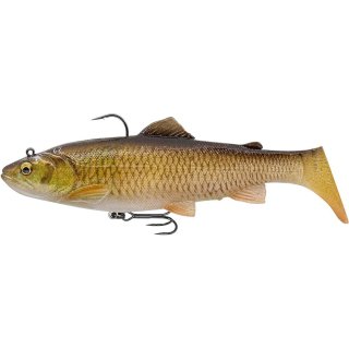 Clear Chub