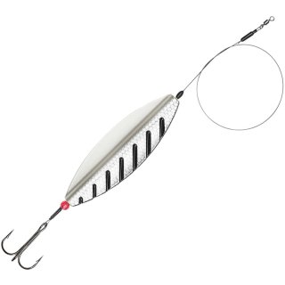 Silverfish