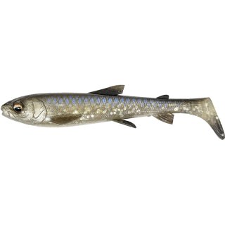 Whitefish