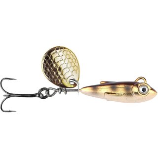 Minnow