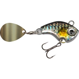 Sardine