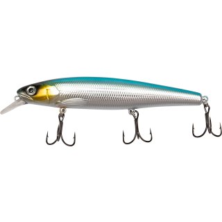 Sardine