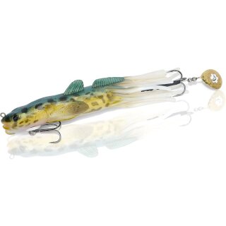Burbot