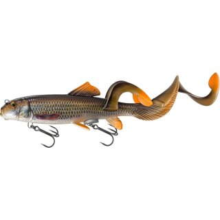 White Sucker