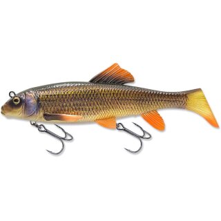 Redhorse Sucker Flash