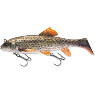White Sucker