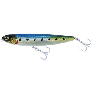Sardine