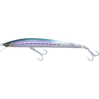 Ghost Sardine