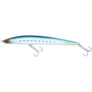 Sardine