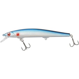 Blue Roach