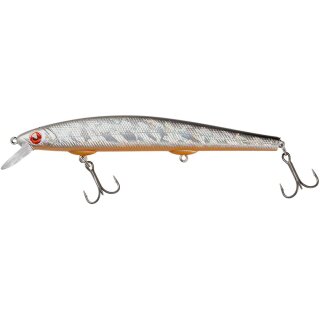 Roach