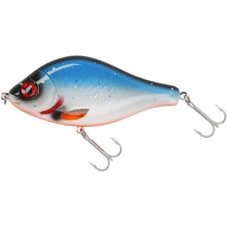 Blue Roach