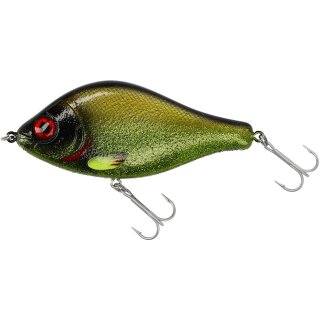Tench