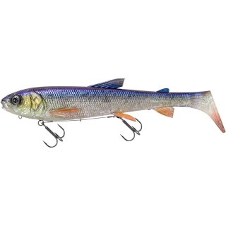 Whitefish