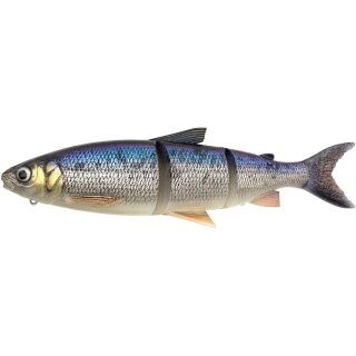 Whitefish