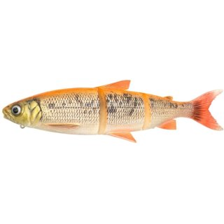 Golden Albino