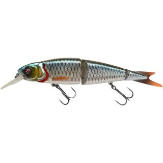 Roach