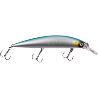 Silverfish