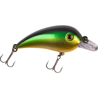 Tench