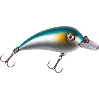 Silverfish