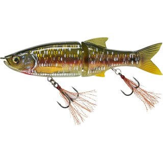 Creek Chub