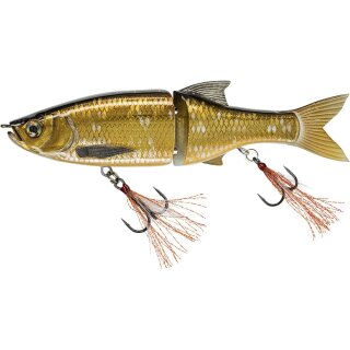 Golden Shiner