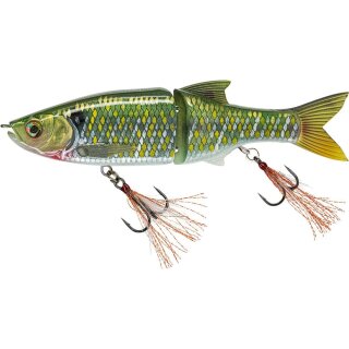 Green Gizzard Shad
