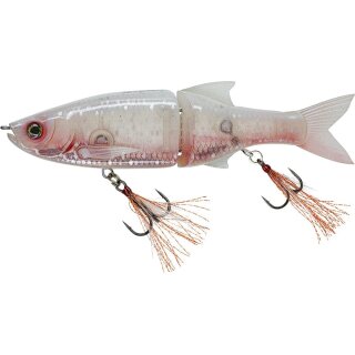 Wounded Albino Shad
