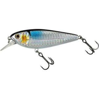 MX Holo Shad