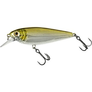 Chrome Gold Back