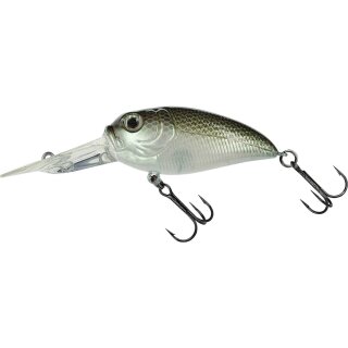 Pearlescent Shad