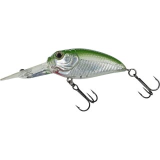 Silver Ghost Green