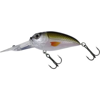Tennessee Shad