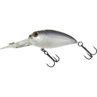 Purple Albino Shad