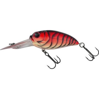 Spring Craw