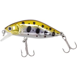 Gold Trout