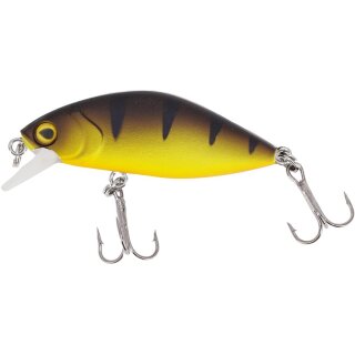 Yellow Perch