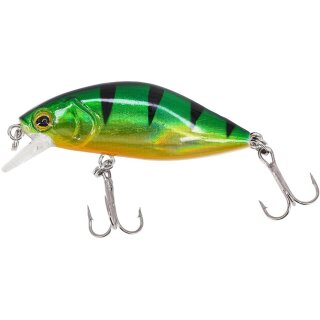 Gloss Perch