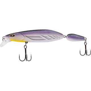 White Fish