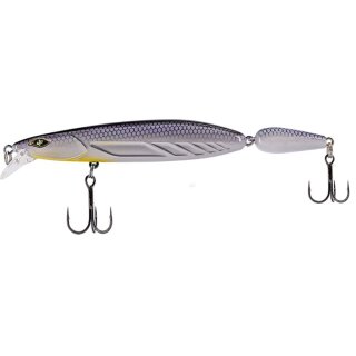 White Fish