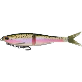 Rainbow Trout