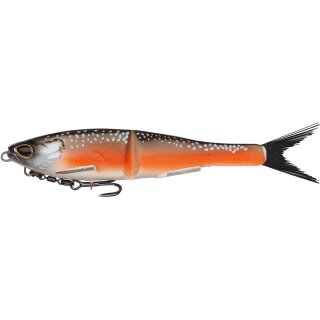 Arctic Char