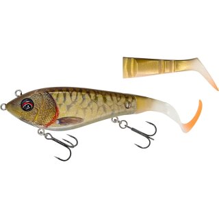 Copper Carp
