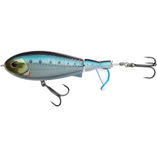 Sardine